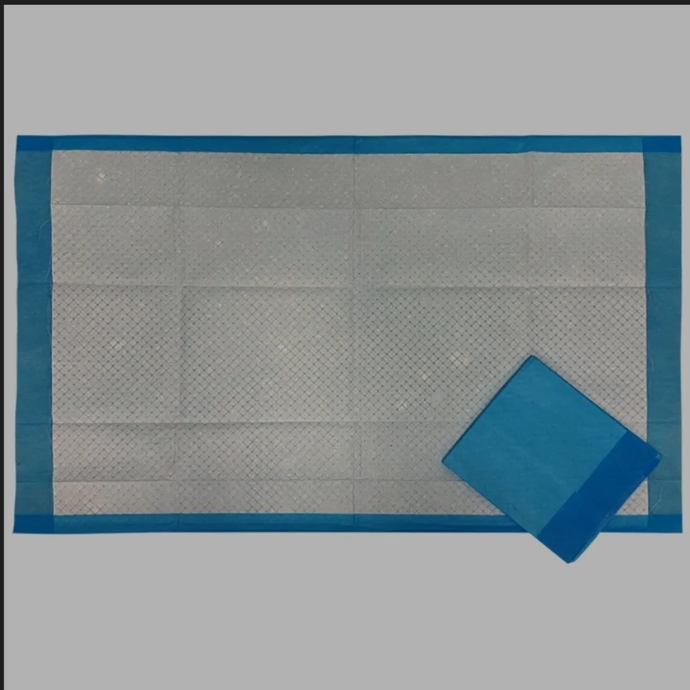 BodyMed® Disposable Underpad, Moderate Absorbency, 23
